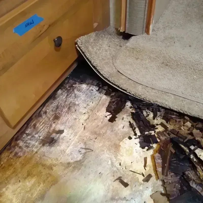 Wood Floor Water Damage in West Sedona, AZ